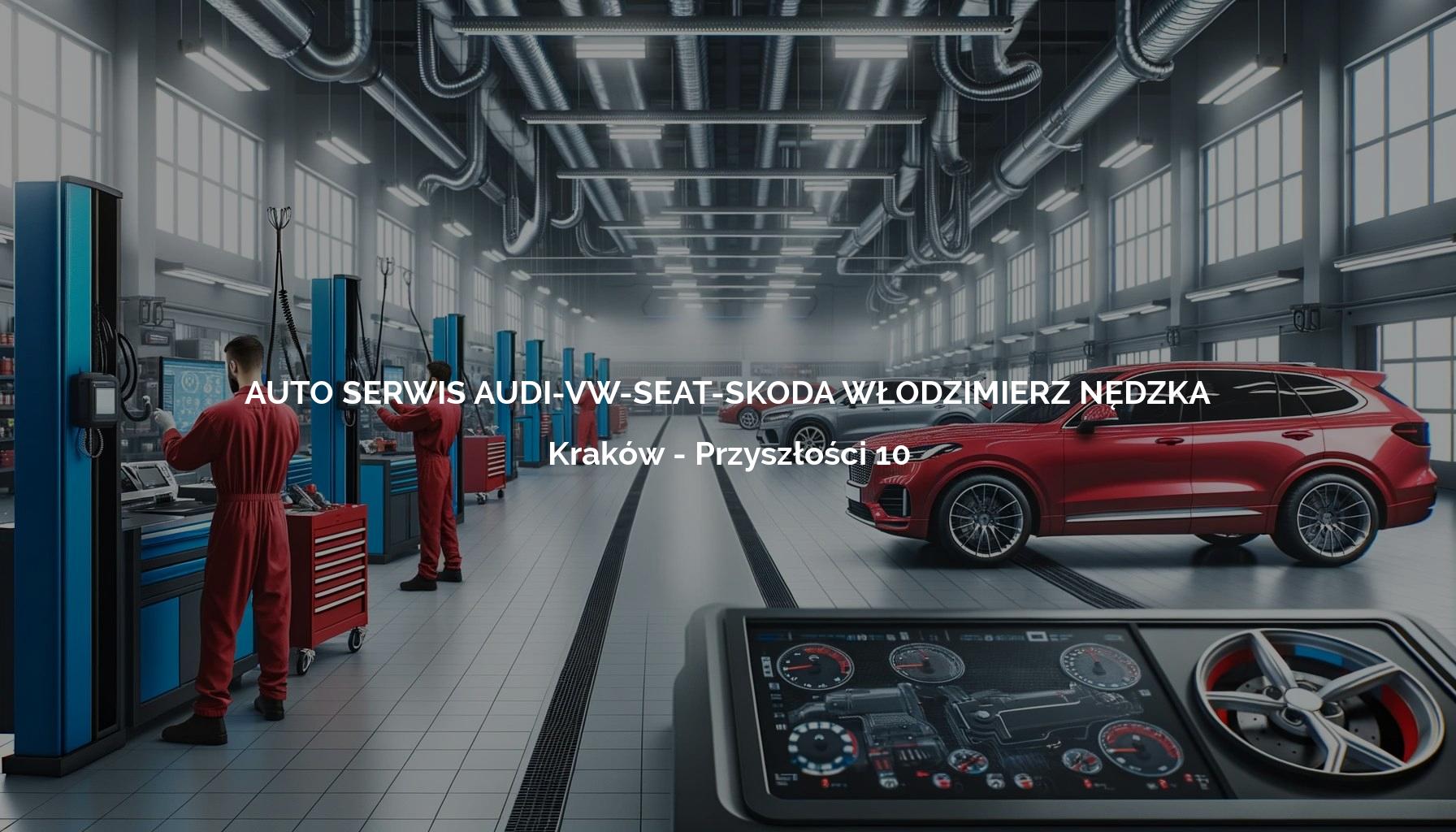 AUTO SERWIS AUDI-VW-SEAT-SKODA WŁODZIMIERZ NĘDZKA - Kraków