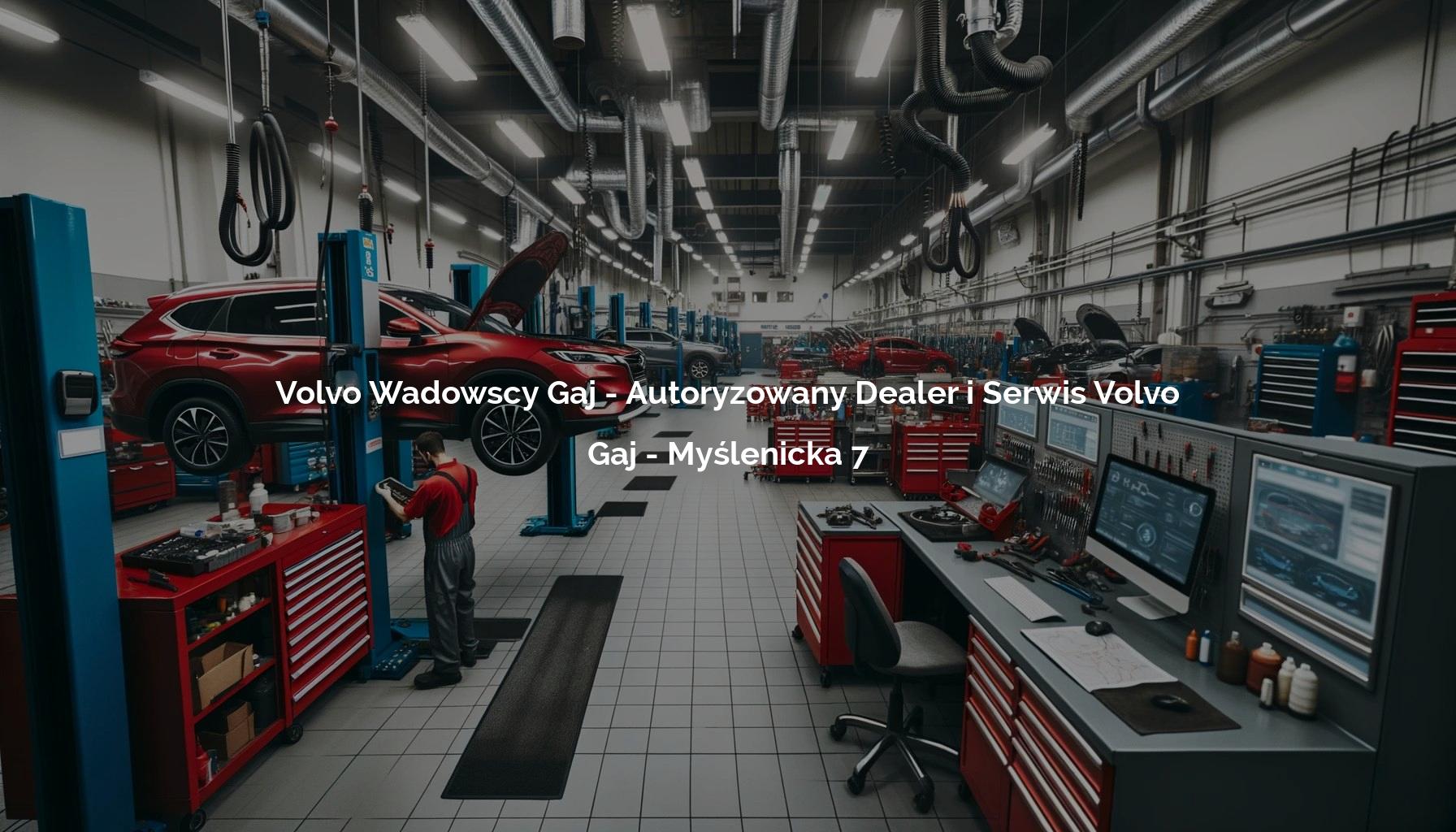 Volvo Wadowscy Gaj - Autoryzowany Dealer i Serwis Volvo - Gaj